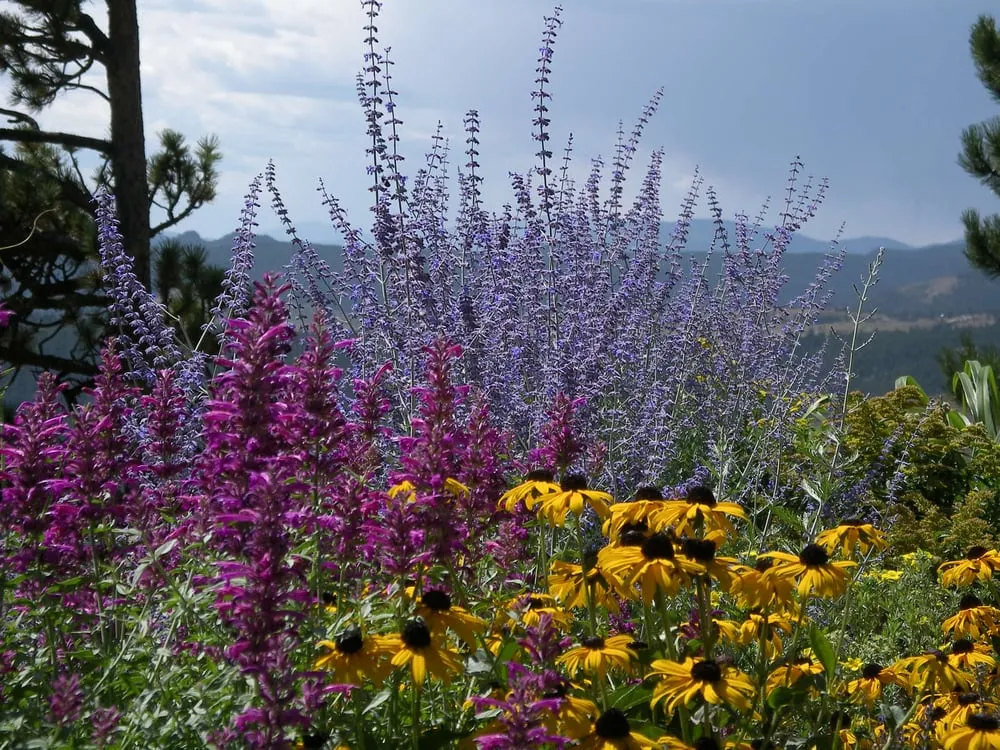 Reliable landscaping services in Boulder, CO - Ecoscape Environmental Design