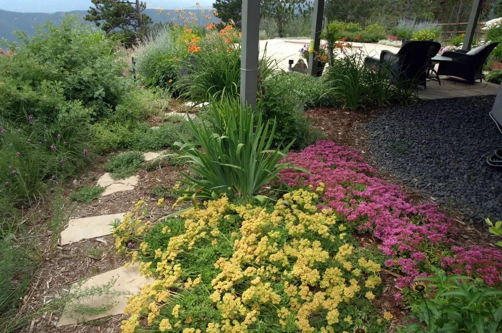 Trusted landscaping services experts serving Boulder, CO - Ecoscape Environmental Design