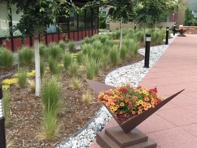 Expert garden landscaping experts serving Boulder, CO - Ecoscape Environmental Design