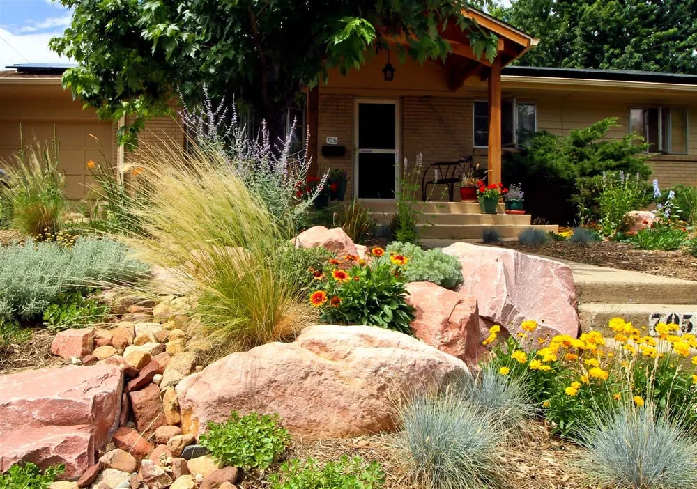 Expert yard maintenance for year-round maintenance across Boulder, CO - Ecoscape Environmental Design