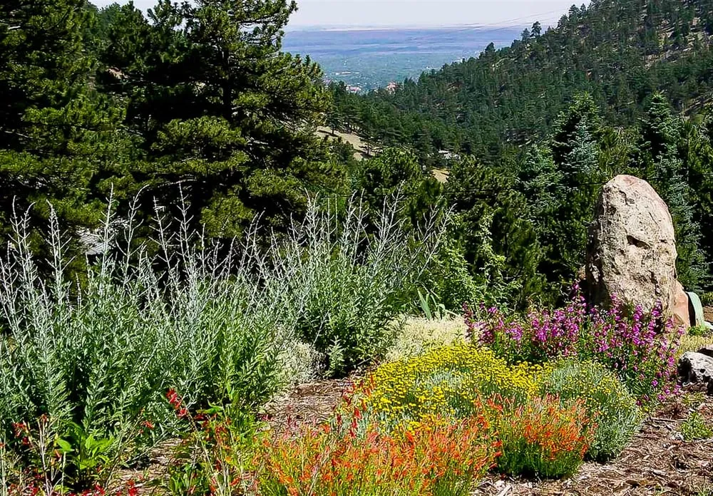 Reliable outdoor landscaping in Boulder, CO - Ecoscape Environmental Design