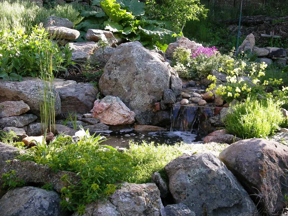 Affordable yard maintenance in Boulder, CO - Ecoscape Environmental Design