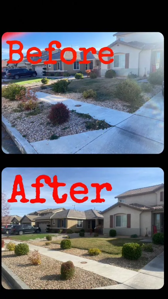 Reliable landscape design for residential properties in Hesperia, CA by Ecoscape Landscaping