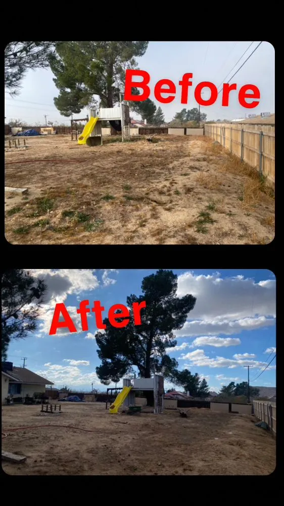 Trusted lawn care service for homes in Hesperia, CA by Ecoscape Landscaping