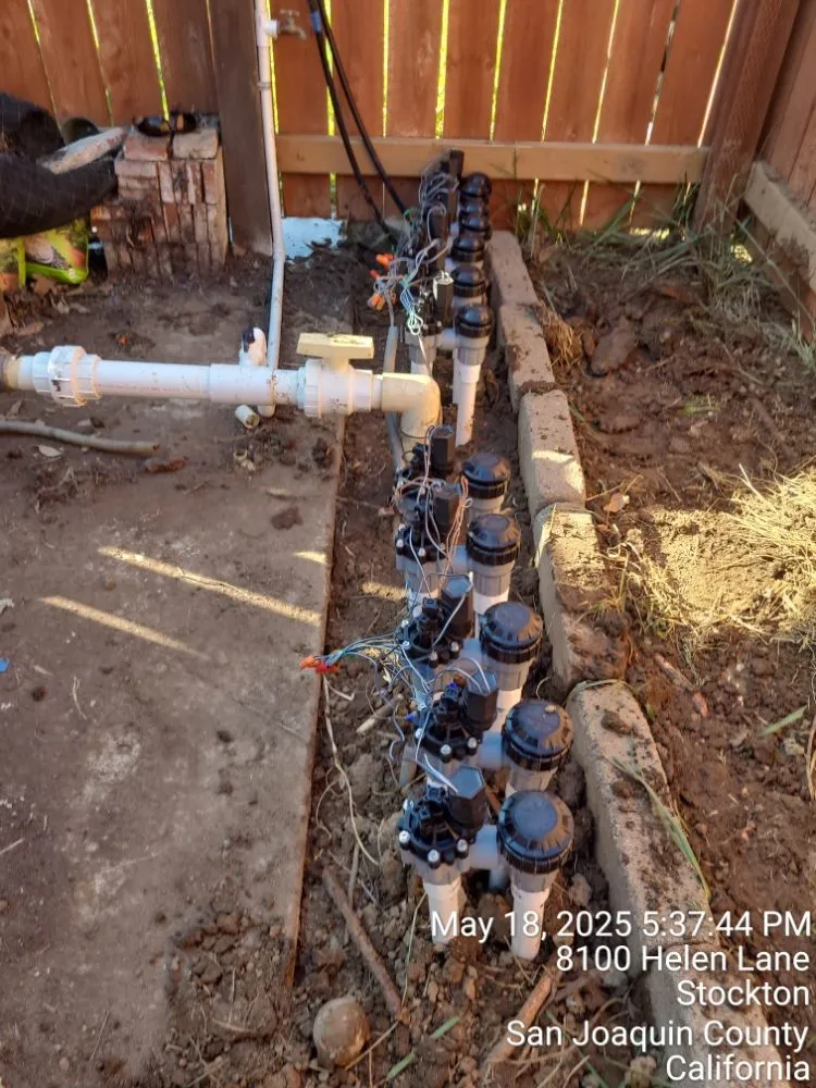 Affordable landscaping services for residential properties across Manteca, CA - Ecoscape Landscaping