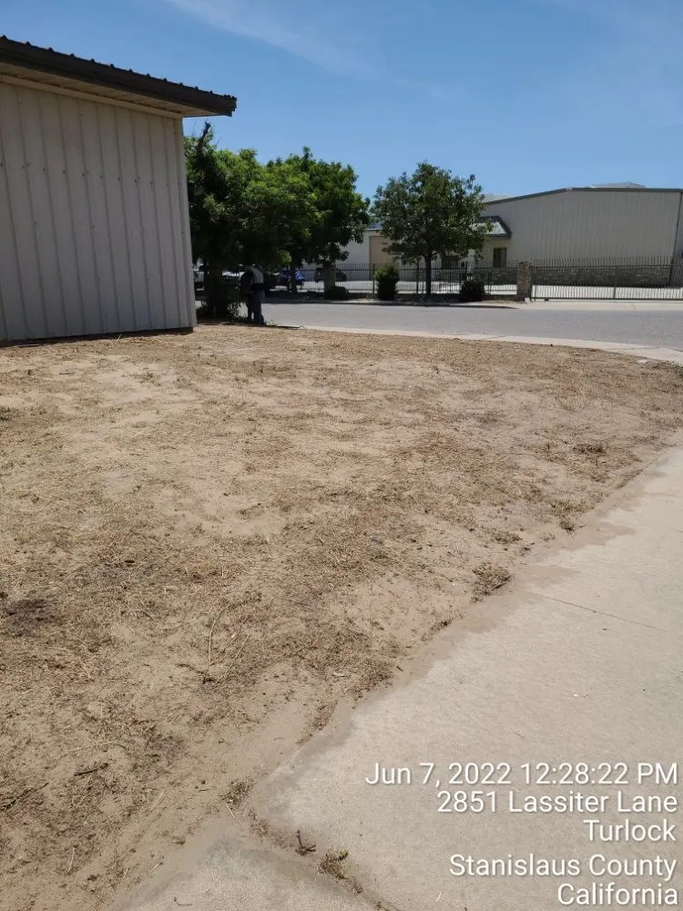 Reliable landscape installation experts serving Manteca, CA - Ecoscape Landscaping