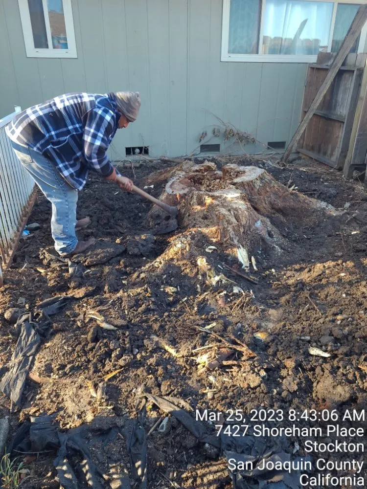 Local residential landscaping for residential properties in Manteca, CA by Ecoscape Landscaping