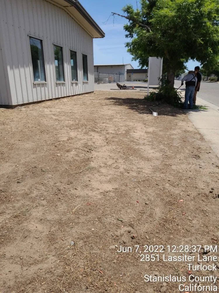 Top-rated yard maintenance for outdoor upgrades across Manteca, CA - Ecoscape Landscaping