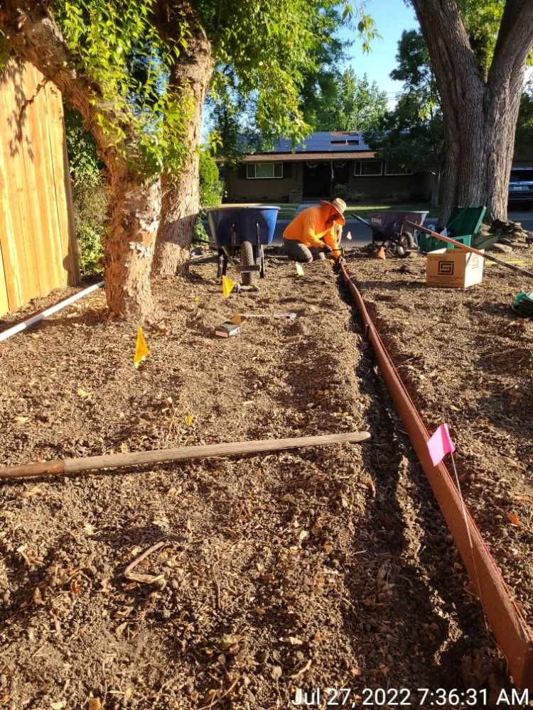 Expert lawn care service for homes across Manteca, CA - Ecoscape Landscaping