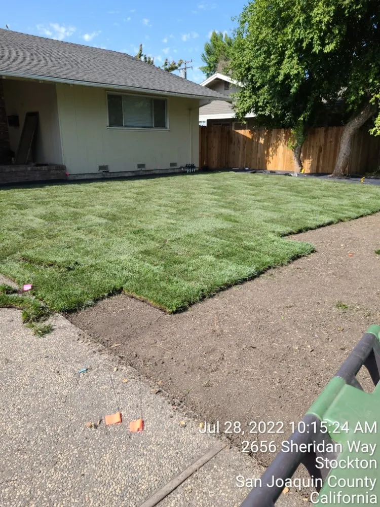 Trusted yard maintenance in Manteca, CA by Ecoscape Landscaping