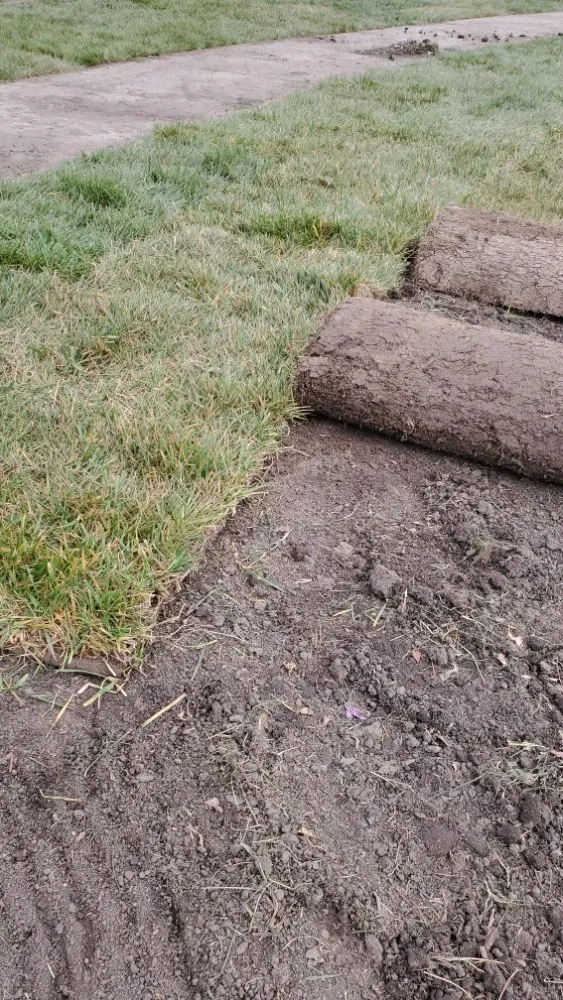 Local yard maintenance in Berryton, KS - Ecoscape Lawn & Landcare