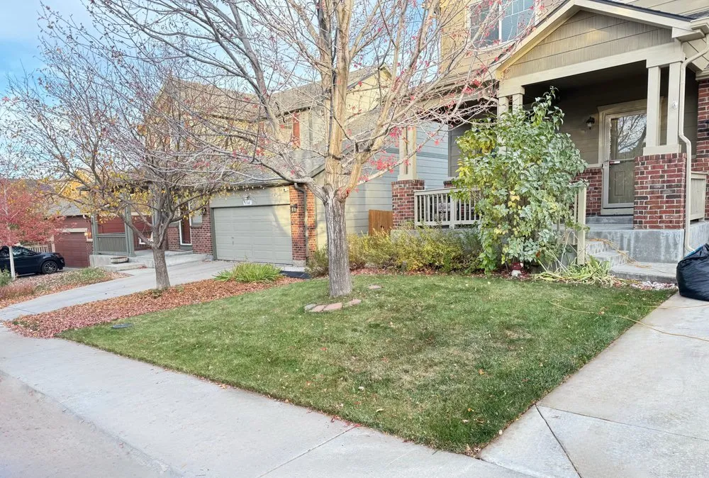 Affordable garden landscaping in Aurora, CO by Ecoscape Solutions