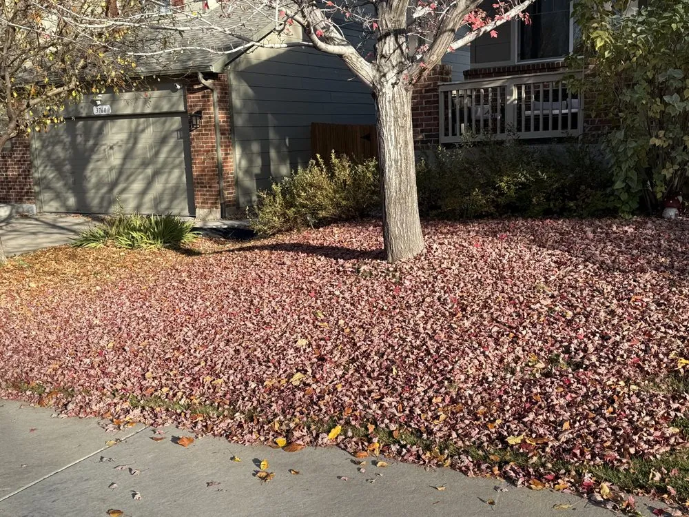 Affordable lawn care service experts serving Aurora, CO - Ecoscape Solutions