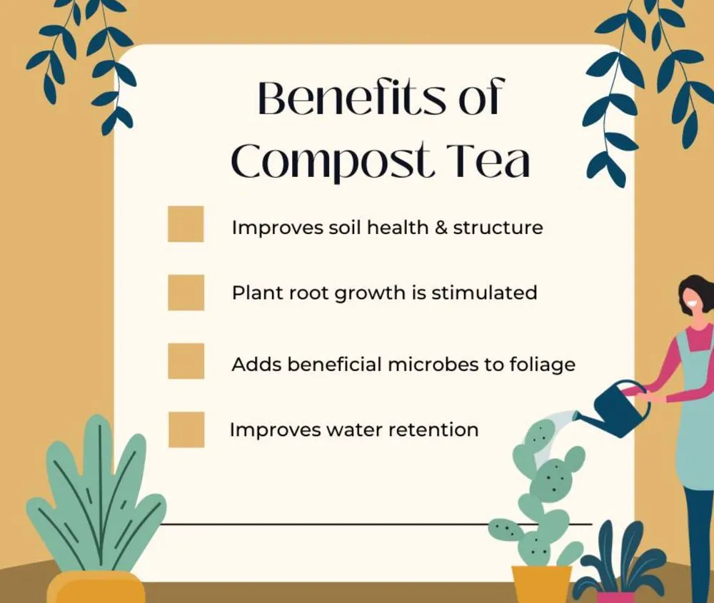 Affordable lawn mowing service in Havre de Grace, MD - Ecoscapes