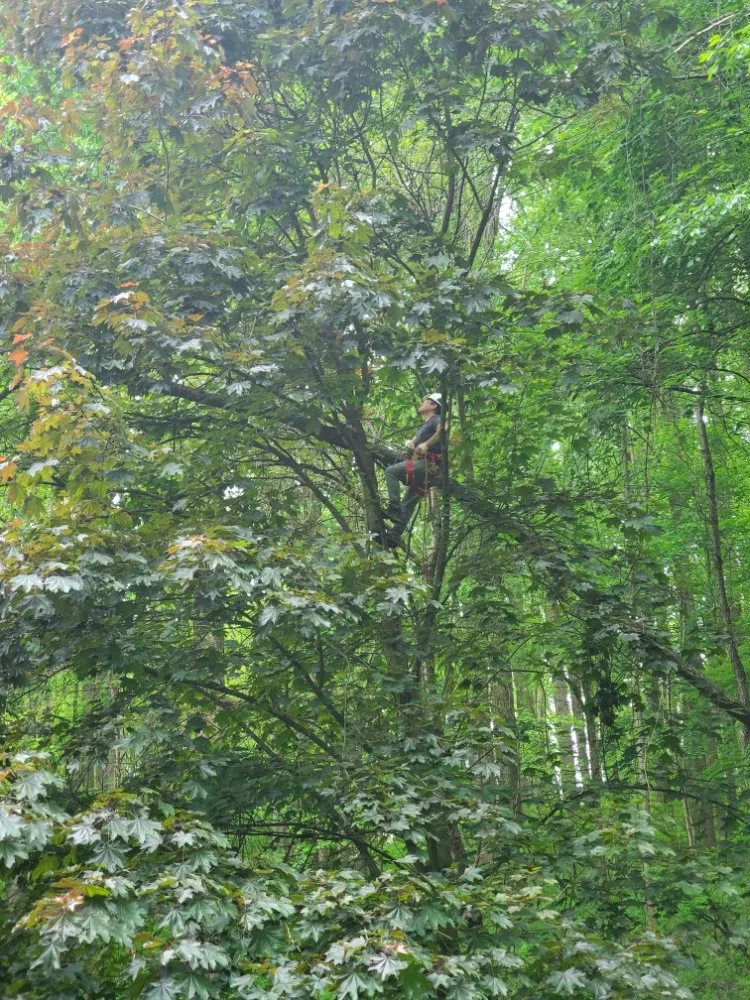 Reliable residential landscaping experts serving Havre de Grace, MD - Ecoscapes