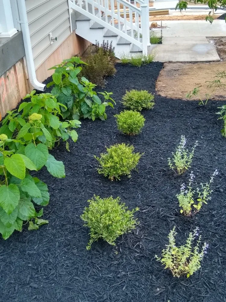 Local yard cleanup service experts serving Havre de Grace, MD - Ecoscapes