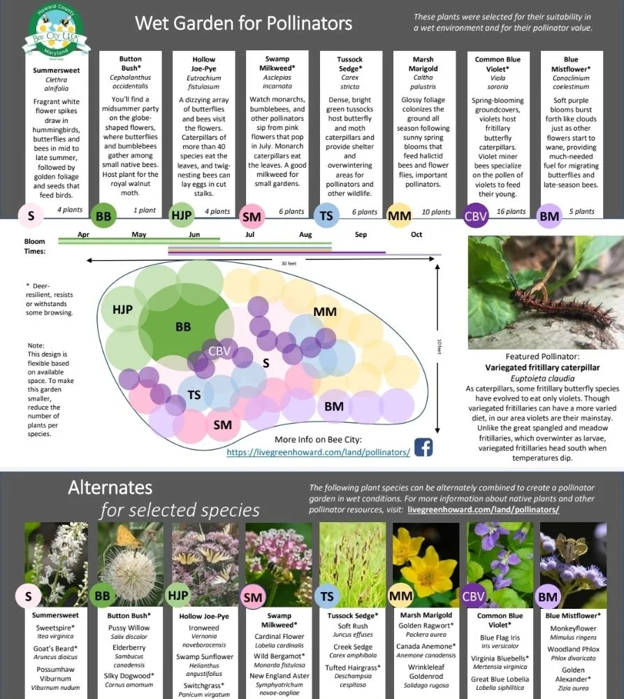 Custom landscape design in Havre de Grace, MD by Ecoscapes