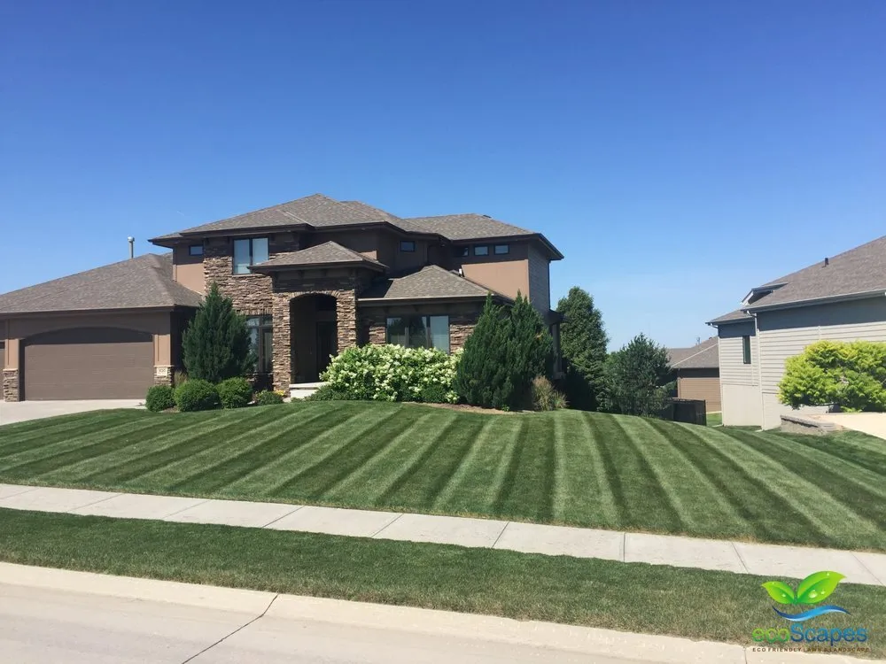Top-rated yard cleanup service in Omaha, NE by EcoScapes of Elkhorn