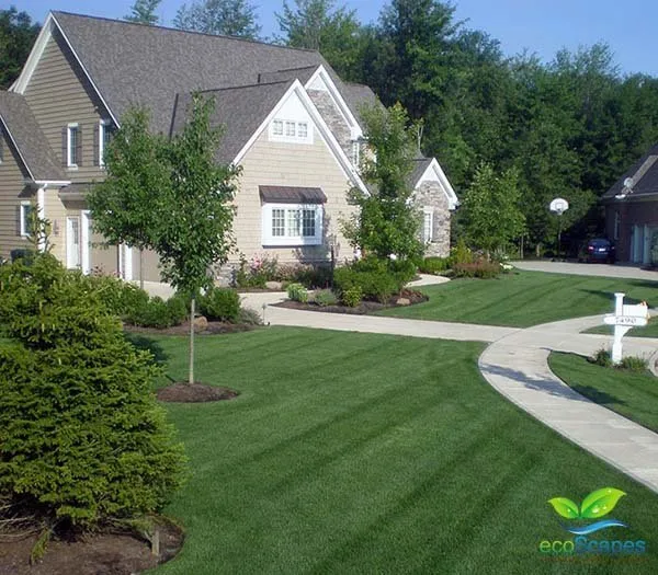 Local yard cleanup service experts serving Omaha, NE - EcoScapes of Elkhorn