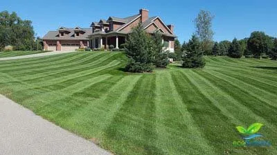 Reliable lawn mowing service experts serving Omaha, NE - EcoScapes