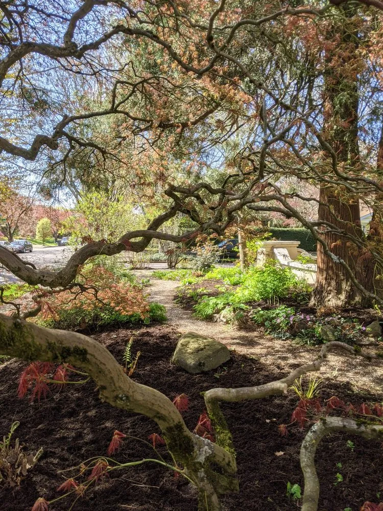 Trusted outdoor landscaping with custom design across Port Angeles, WA - Ecoscapes