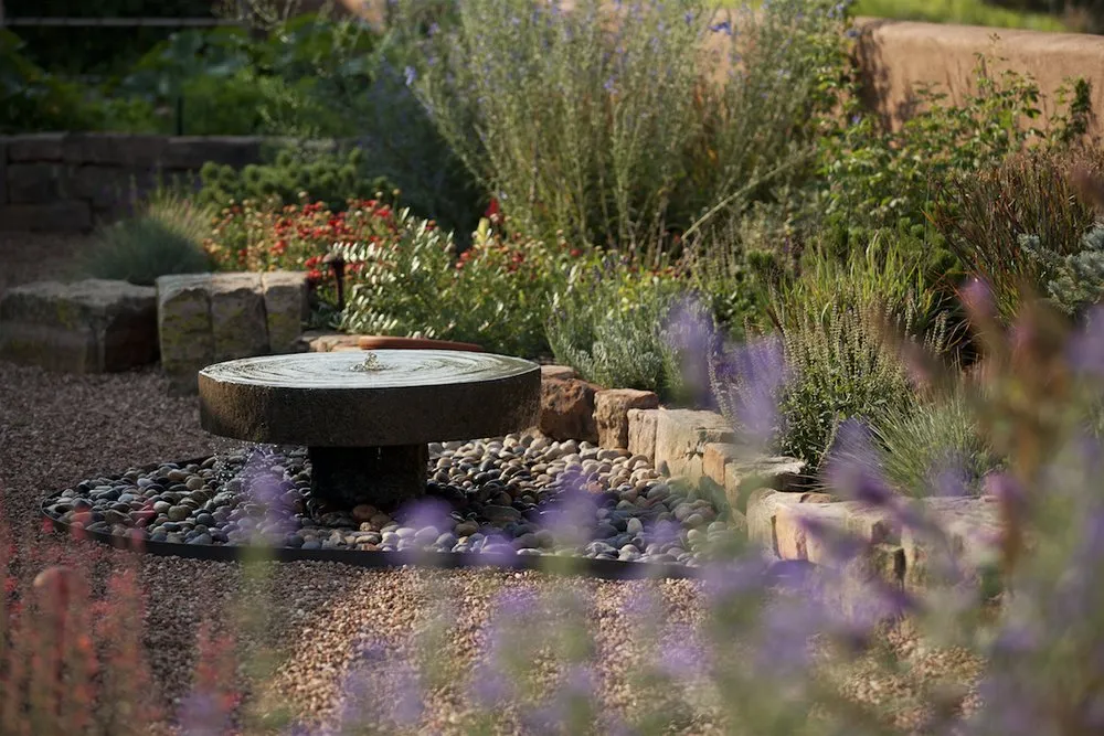 Reliable yard maintenance in Santa Fe, NM by EcoScapes