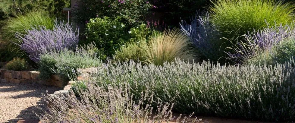 Expert lawn mowing service for beautiful yards in Santa Fe, NM by EcoScapes