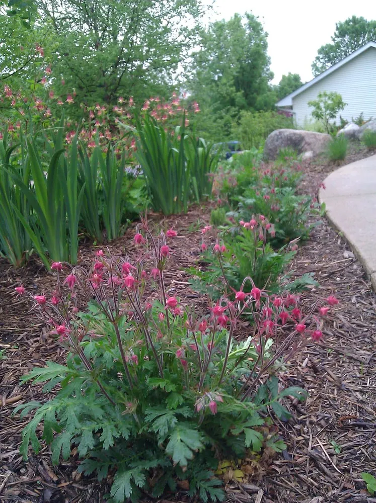 Reliable landscaping services experts serving Elko New Market, MN - Ecoscapes Sustainable Landscaping