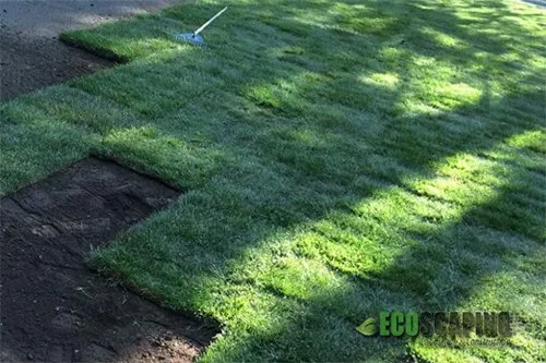 Ecoscaping Landscape & Construction Logo