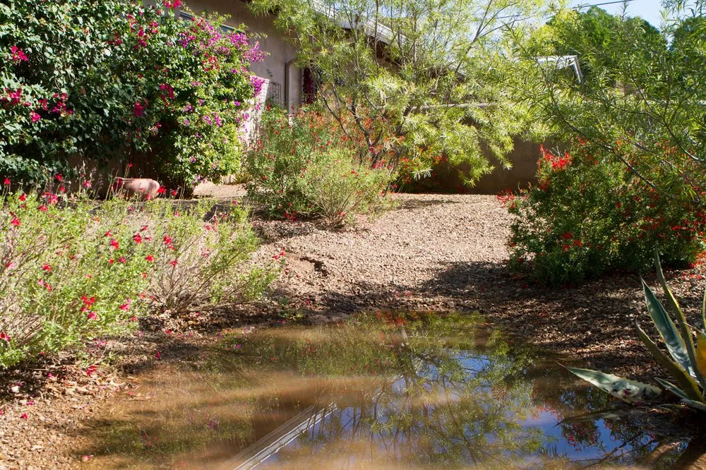 Professional residential landscaping for outdoor upgrades in Tucson, AZ by EcoSense Sustainable Landscapes
