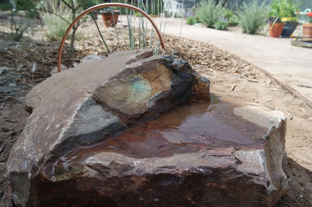 Professional landscaping services with custom design in Tucson, AZ by EcoSense Sustainable Landscapes