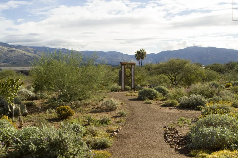 Affordable lawn care service for beautiful yards in Tucson, AZ by EcoSense Sustainable Landscapes
