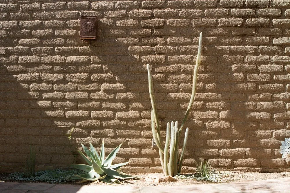 Expert landscape installation for year-round maintenance in Tucson, AZ by EcoSense Sustainable Landscapes