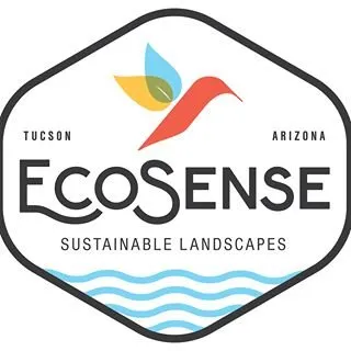 Affordable yard maintenance in Tucson, AZ - EcoSense Sustainable Landscapes