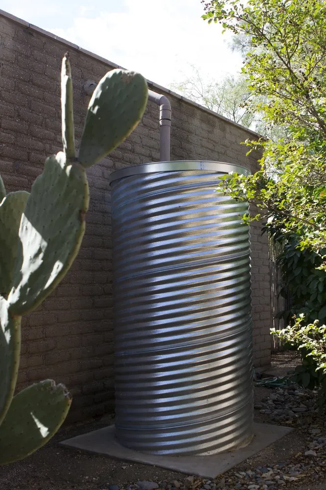 Reliable yard maintenance in Tucson, AZ - EcoSense Sustainable Landscapes