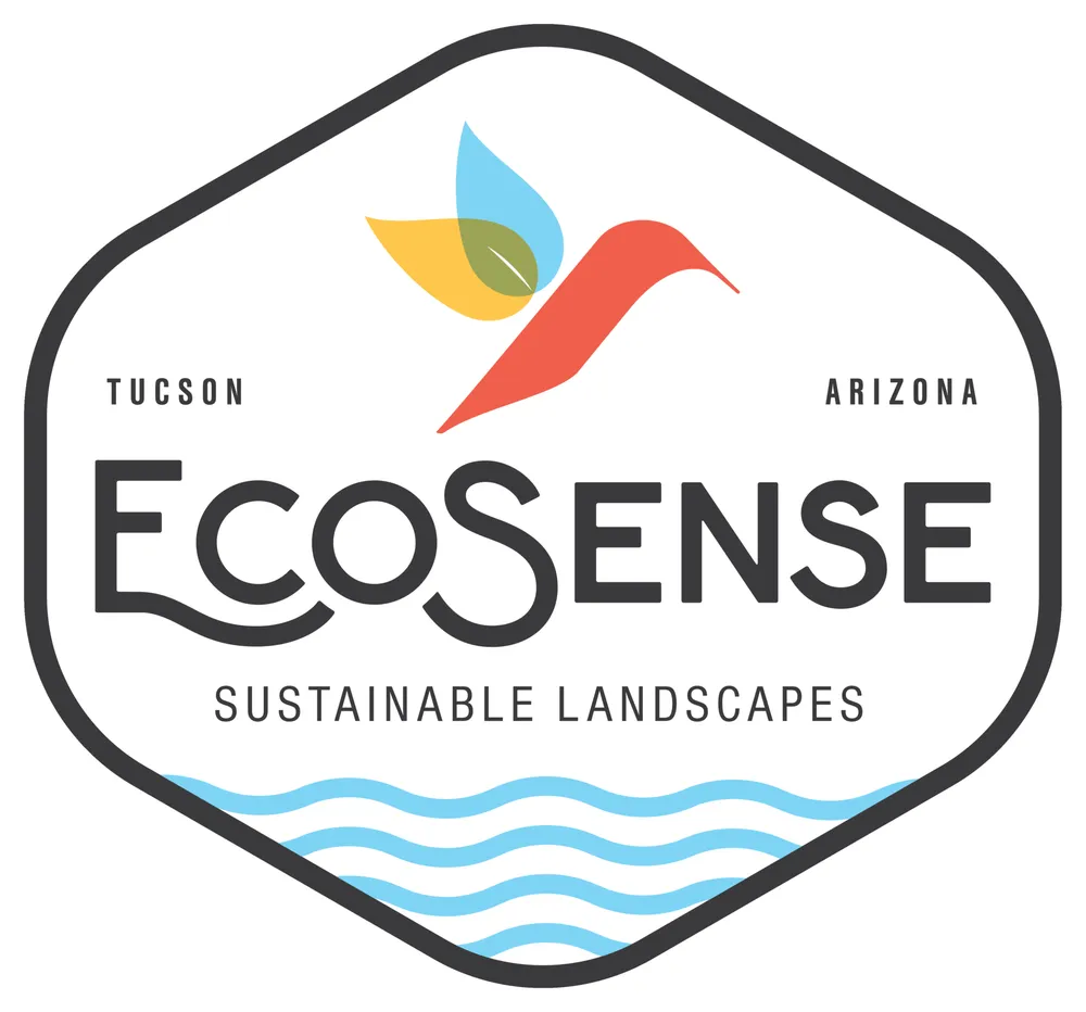 Local landscaping services in Tucson, AZ - EcoSense Sustainable Landscapes