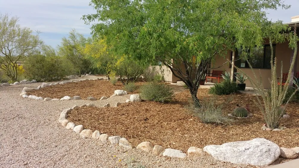 Local landscaping services in Tucson, AZ - EcoSense Sustainable Landscapes
