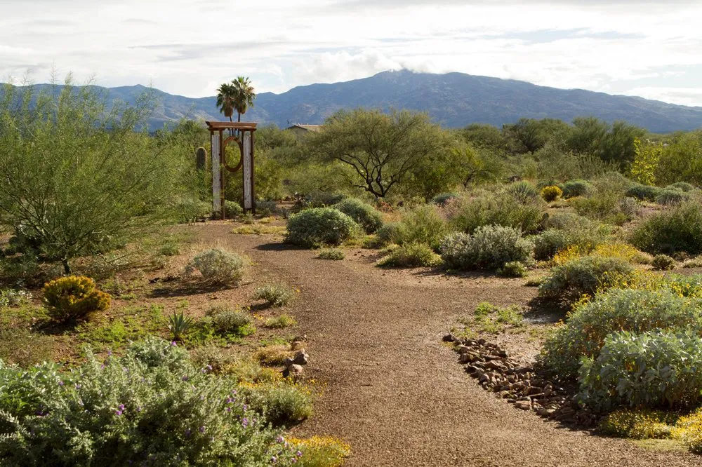 Local yard maintenance experts serving Tucson, AZ - EcoSense Sustainable Landscapes