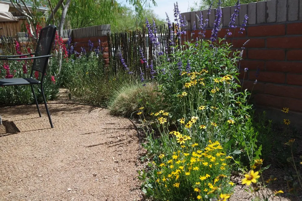 Reliable garden landscaping in Tucson, AZ - EcoSense Sustainable Landscapes