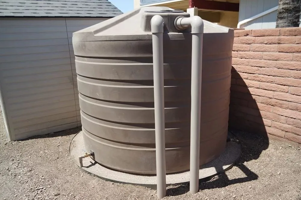 Professional yard cleanup service for beautiful yards across Tucson, AZ - EcoSense Sustainable Landscapes