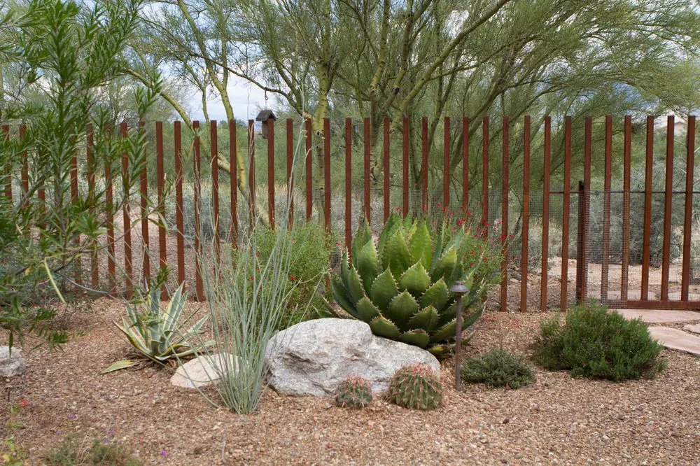 Trusted landscape design near you in Tucson, AZ by EcoSense Sustainable Landscapes