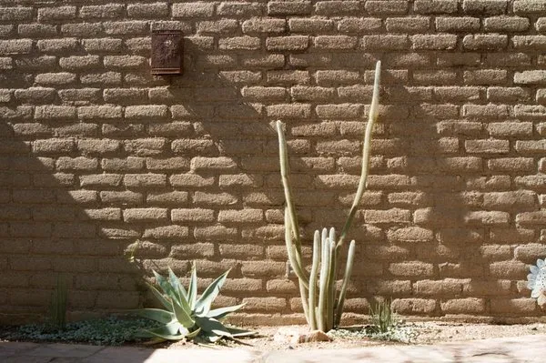 EcoSense Sustainable Landscapes Logo