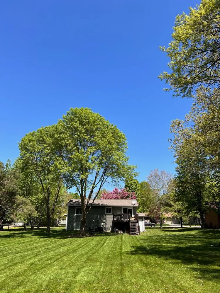Trusted yard cleanup service with custom design in St. Cloud, MN by ECOshifters