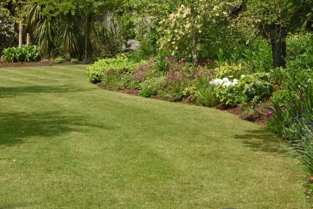Professional lawn care service in St. Cloud, MN - ECOshifters