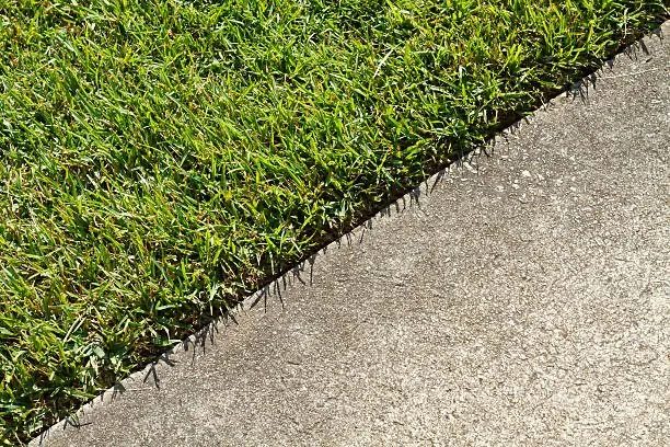 Trusted lawn mowing service in St. Cloud, MN - ECOshifters