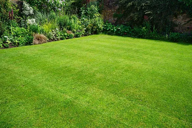 Affordable landscaping services near you in St. Cloud, MN by ECOshifters