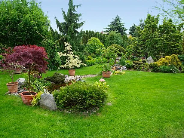 Reliable yard maintenance for residential properties across St. Cloud, MN - ECOshifters