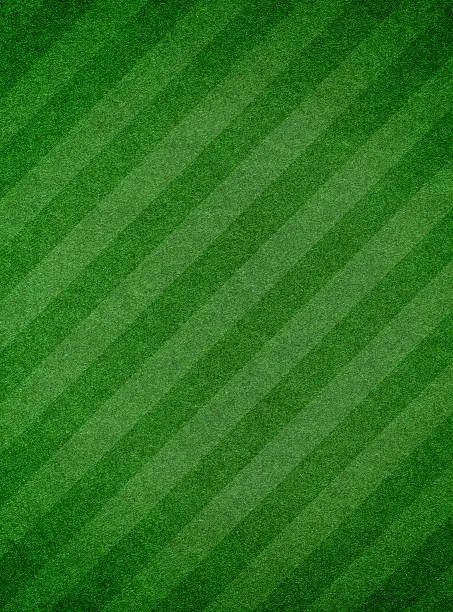 Professional lawn care service in St. Cloud, MN by ECOshifters