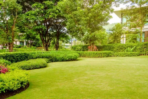 Top-rated yard maintenance for residential properties in St. Cloud, MN by ECOshifters