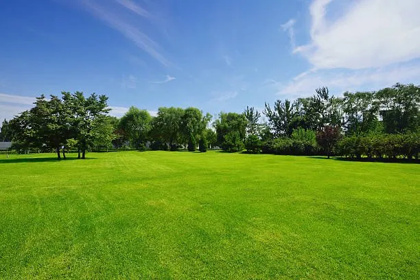 Reliable landscape design with custom design in St. Cloud, MN by ECOshifters